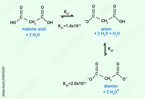 Chemical reaction of malonic acid, anion and dianion photo
