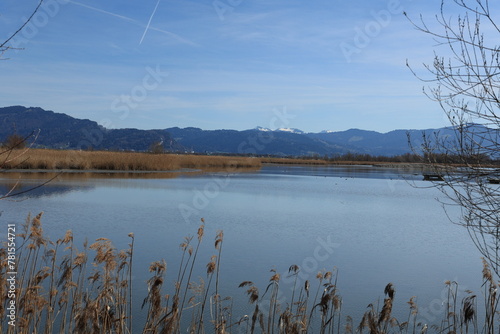 Blick auf die Naturlandschaft am Einlauf des Rheins in den Bodensee bei Hard in   sterreich