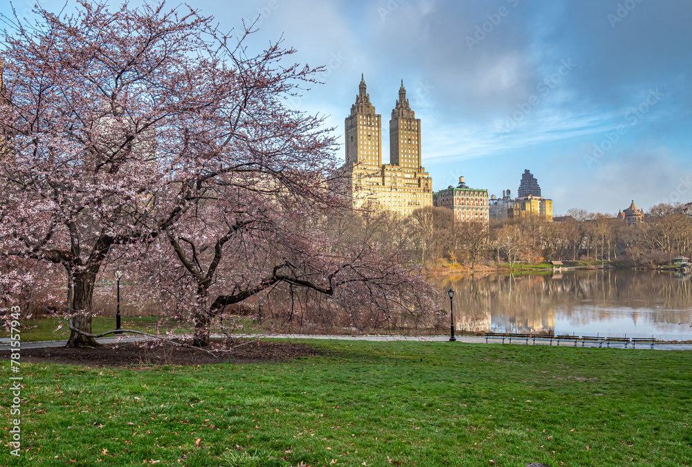 Obraz premium Central Park in spring