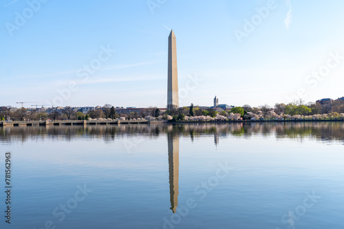 Washington Monument, fully reflected on the tidal basin, during cherry blossom season photo