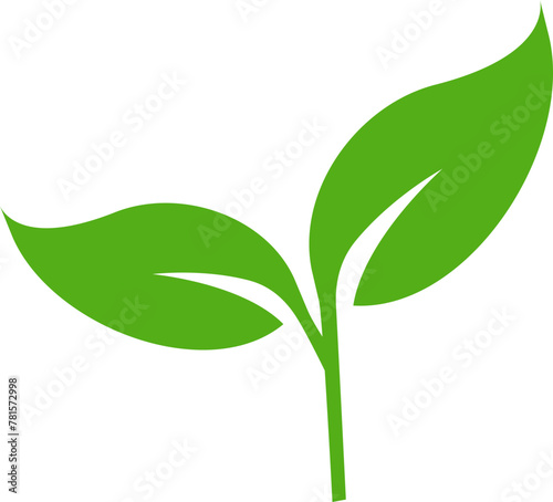 Green leaf vector icon. Eco leaf logo. Simple linear leaves of trees and plants. Elements for eco friendly and bio logo,vegan.  Ecology leaf element.