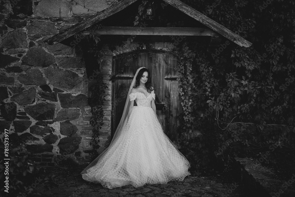 Bride in a wedding dress standing in front of a wooden door Bride in a wedding dress standing in front of a wooden door