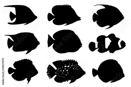 Various aquarium freshwater fish in black silhouette. Isolated on a white background. Vector illustration.