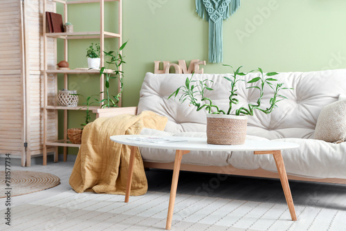 Stylish interior of green l...
