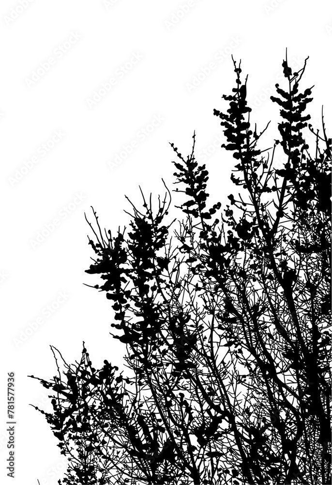 silueta arbol, arbusto, hojas, ramas, otoño, ilustracion, bosques, naturaleza, sequia, atmosfera silueta arbol, arbusto, hojas, ramas, otoño, ilustracion, bosques, naturaleza, sequia, atmosfera