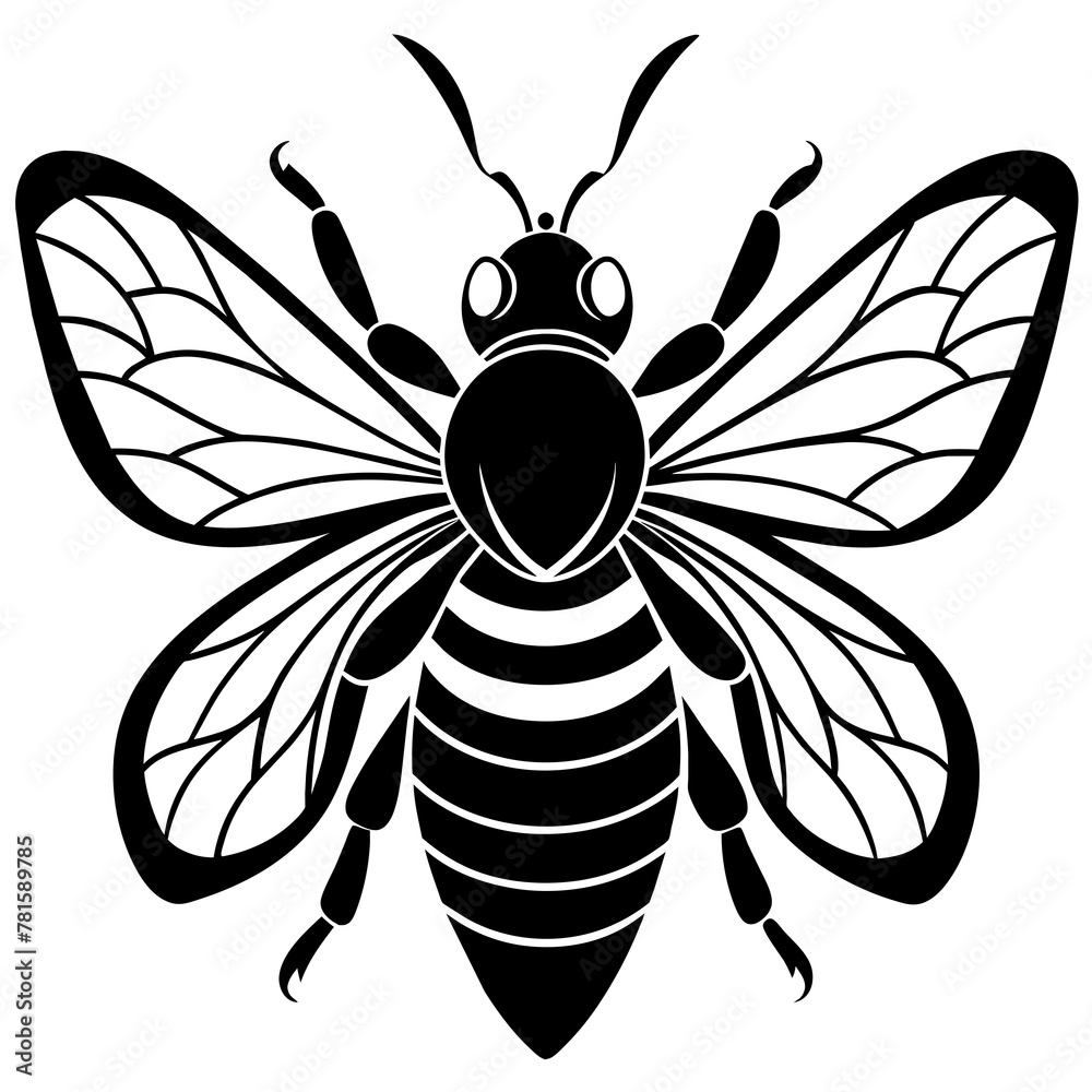 black and white bee illustration black and white bee illustration
