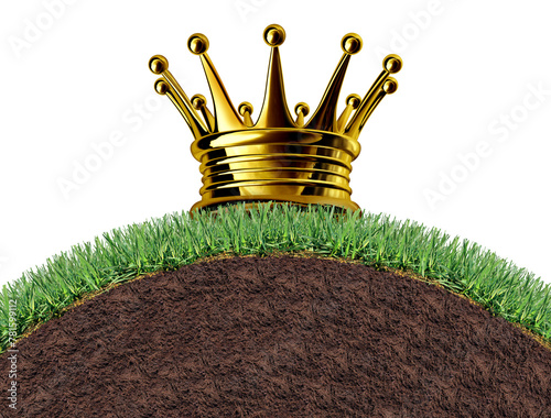 Best Lawn Award and excellence in Healthy grass with winning lawncare for controlling weeds and fertilizing and aerating with number one landscaping and gardening solutions with a royal crown