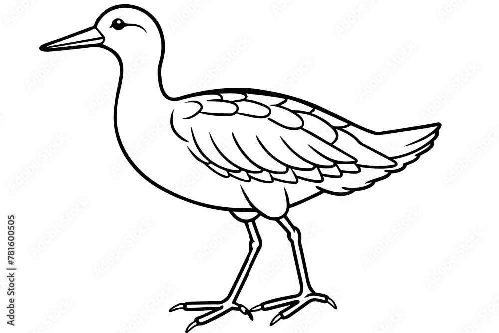 -cisticola-reed-warbler-vector-illustration.