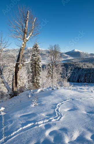 Winter Gorgany massiv mountains scenery view from Yablunytsia pass, Carpathians, Ukraine. © wildman