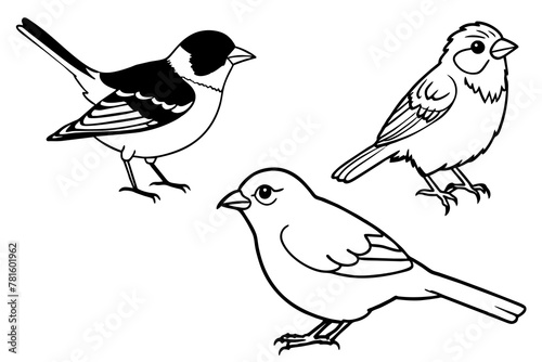 Wallpaper Mural timalia-sibia-fulvetta-parrotbill vector-illustration  Torontodigital.ca