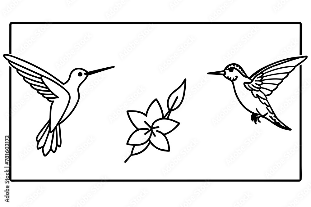 Obraz premium set of birds and flowers & treeswift-hummingbird-trogan--out-side-of-black-border -vector illustration