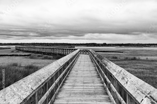boardwalk into the marsh © eric