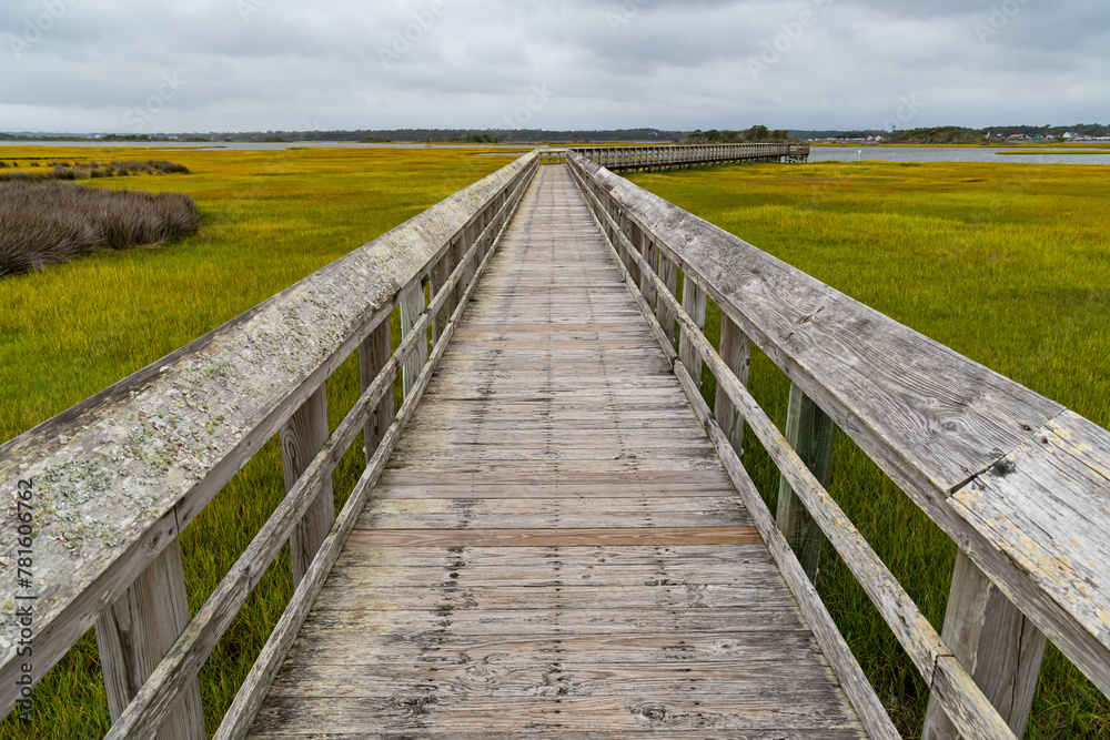 Boardwalk through North Carolina marsh land
