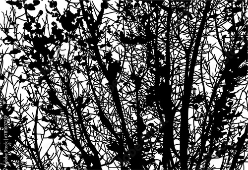 silueta arbol, arbusto, hojas, ramas, otoño, ilustracion, bosques, naturaleza, sequia, atmosfera