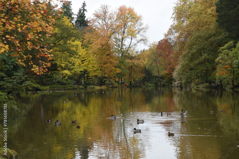 Fototapeta premium autumn in the park