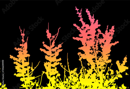 silueta arbol, arbusto, hojas, ramas, otoño, ilustracion, bosques, naturaleza, sequia, atmosfera