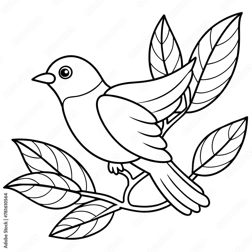dove of peace  vector line art