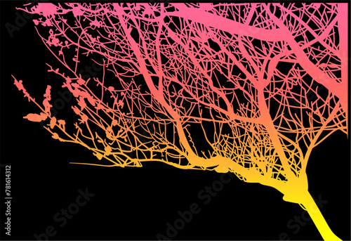 silueta arbol, arbusto, hojas, ramas, otoño, ilustracion, bosques, naturaleza, sequia, atmosfera