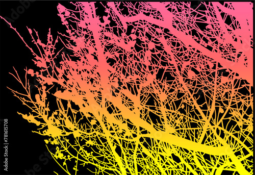 silueta arbol, arbusto, hojas, ramas, otoño, ilustracion, bosques, naturaleza, sequia, atmosfera