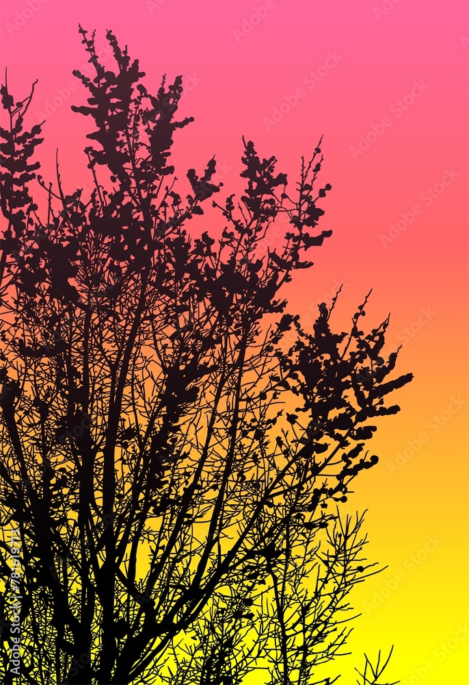 Obraz premium silueta arbol, arbusto, hojas, ramas, otoño, ilustracion, bosques, naturaleza, sequia, atmosfera