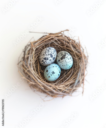 鳥の巣の中にある青みを帯びた卵