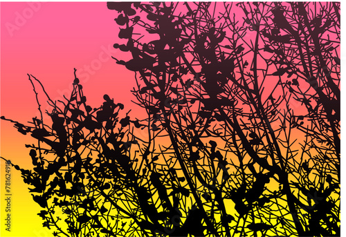 silueta arbol, arbusto, hojas, ramas, otoño, ilustracion, bosques, naturaleza, sequia, atmosfera