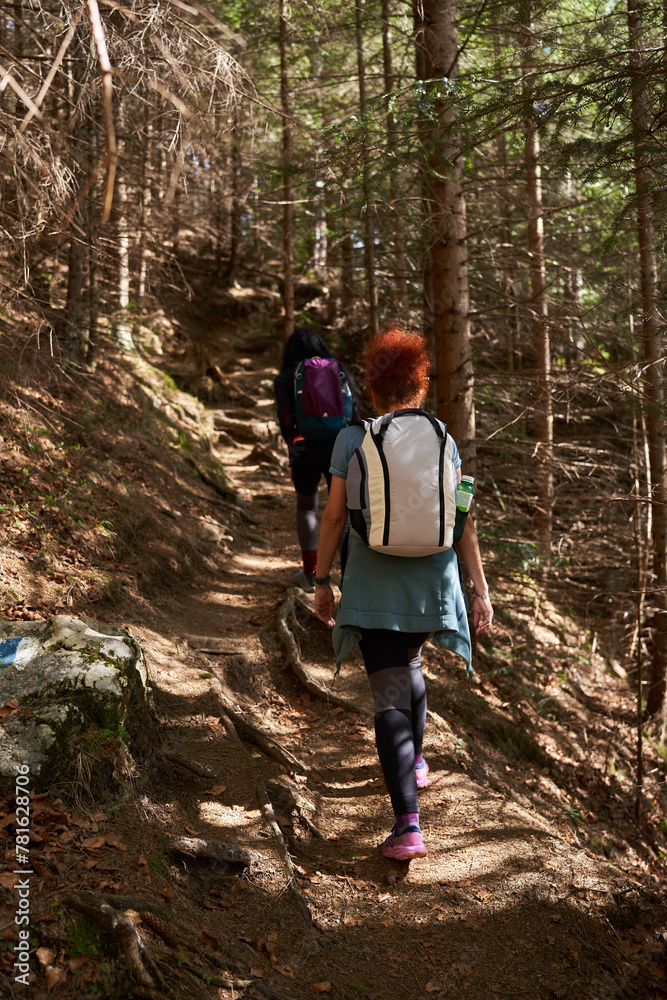 Obraz premium Women hikers with backpacks in the mountains