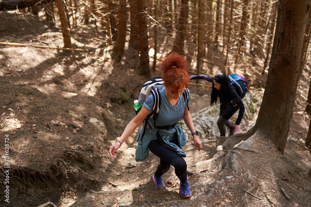 Women hikers with backpacks in the mountains