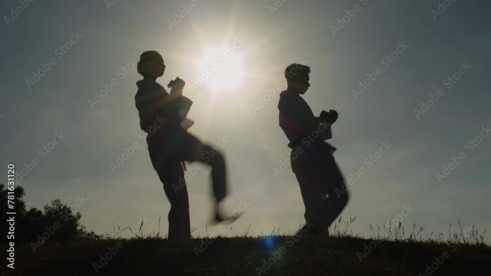 Long shot of silhouettes of martial art fighters practicing kicks at sunset Long shot of silhouettes of martial art fighters practicing kicks at sunset