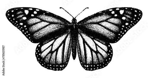 monarch butterfly isolated retro photocopy effect grunge stipple grain texture