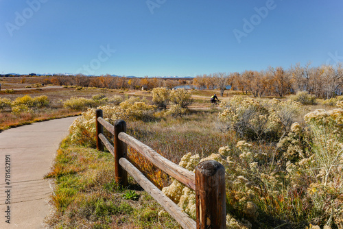 A scenic view of the natural habitat around Cherry Creek State Park in Colorado in the Fall with Rabbitbrush bushes and other vegetation in the landscape close to a paved walking trail.