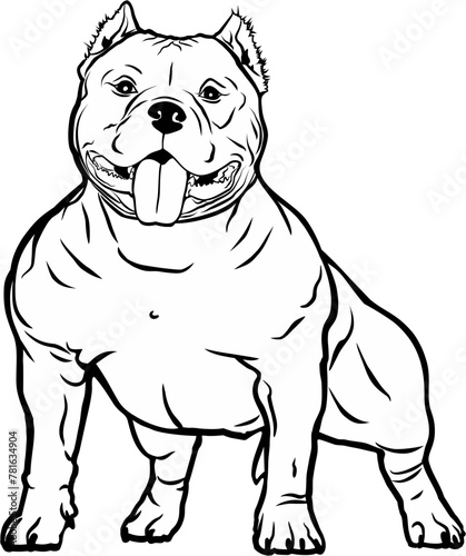 Muscle  vector black sketch American Bully Dog. Hand made drawing art illustration on white background.