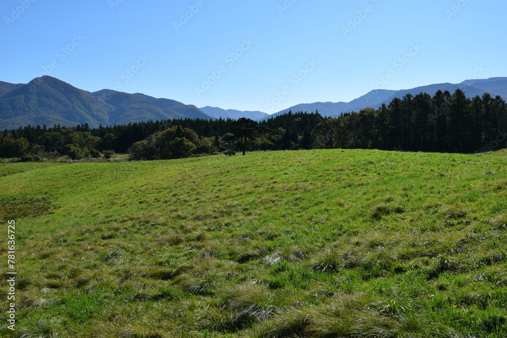 Fototapeta premium 月山高原牧場 山形県鶴岡市