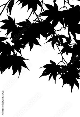 silueta arbol, arbusto, hojas, ramas, otoño, ilustracion, bosques, naturaleza, sequia, atmosfera, hoja de arce