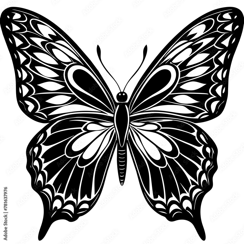 black and white butterfly illustration black and white butterfly illustration