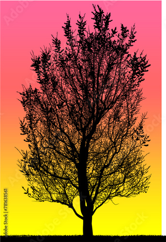 silueta arbol, arbusto, hojas, ramas, otoño, ilustracion, bosques, naturaleza, sequia, atmosfera