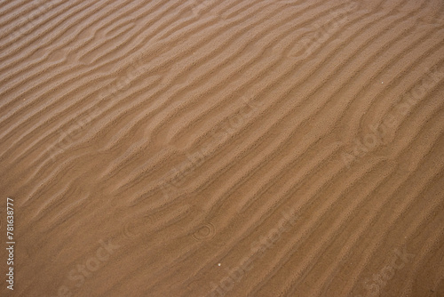 Seamless wet sand with sea water on a whole background. Empty wavy sandy sea bottom. Exotic Sandy Ocean beach surface. Top view. Simple, minimalistic photo. Ideal concept for banner, poster, ads.