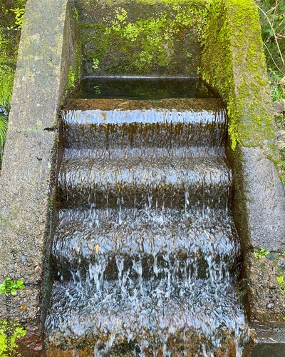 Artificial cascade of levada, Madeira, Portugal