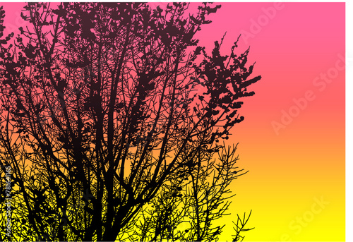 silueta arbol, arbusto, hojas, ramas, otoño, ilustracion, bosques, naturaleza, sequia, atmosfera