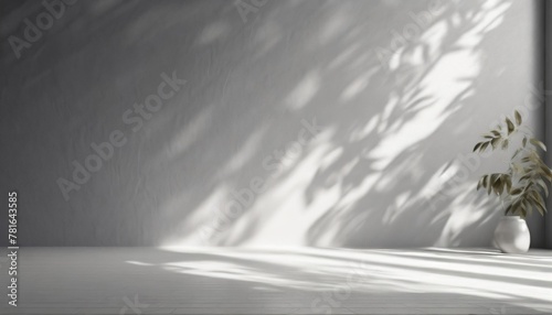 empty gray room studio with shadow of tree leaves on the wall and floor for product presentation sunlight effect shadow concept minimal room backdrop design cosmetic beauty and fashion showroom