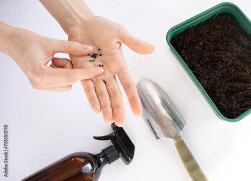 A woman's hand sows seeds into a sprouter. The soil in a green flowerpot is top view. Close-up on a white background. Gardening