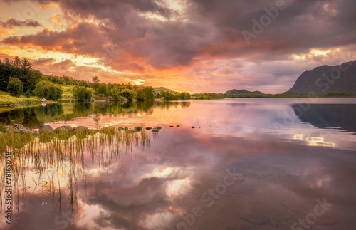 Calm atmosphere with pink clouds on the fjord in the midnight sun, Bostad, Lofoten, Nordland, Norway, Europe photo