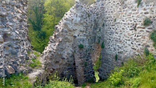 Enigmatic Ruins of Hugstein Castle Overlooking the Florival Valley, Vestige of History Amidst Verdant Nature photo