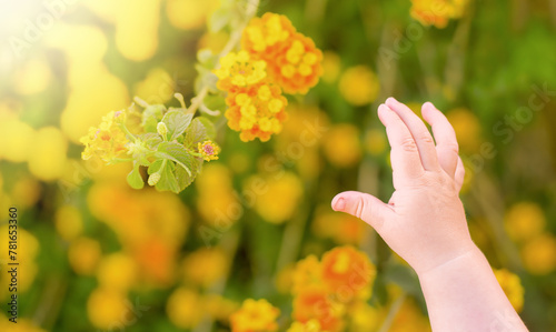 Orange flowers and baby's hand