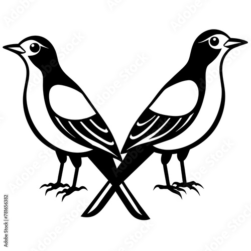 two birds on a white