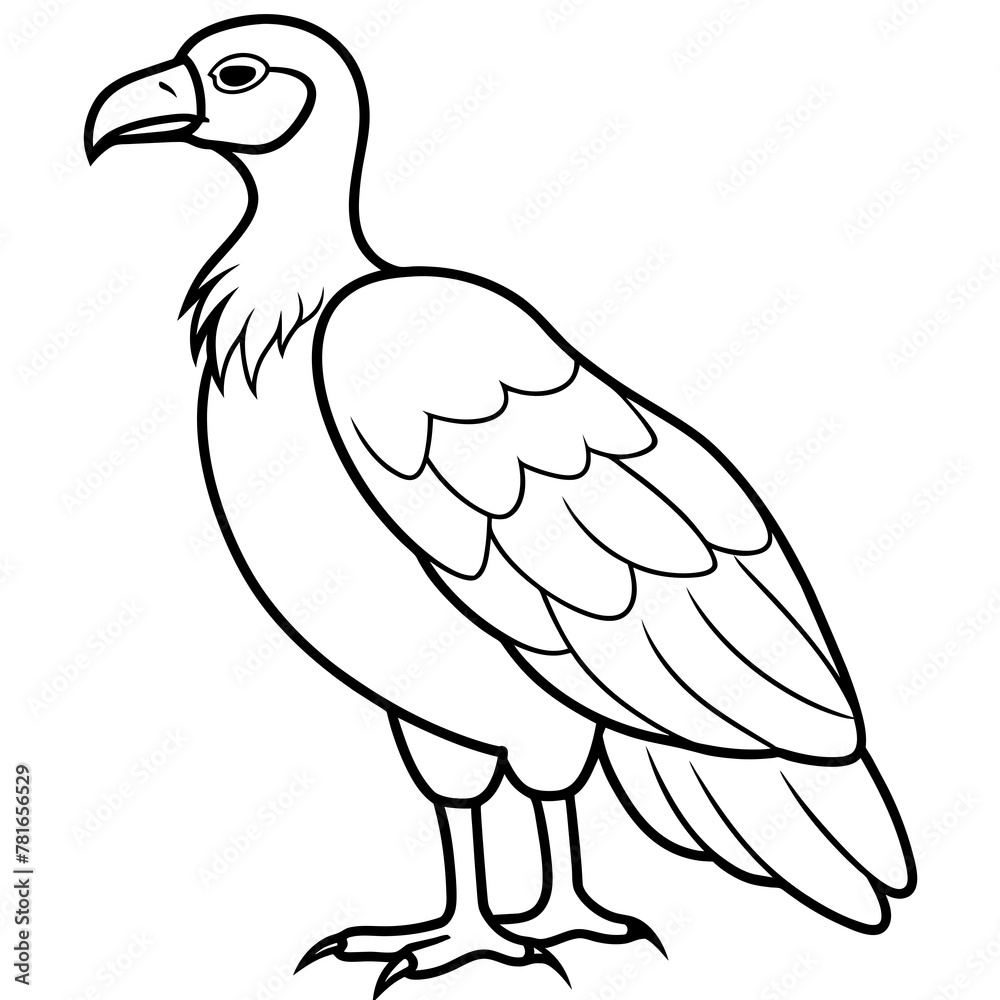 eagle isolated on white eagle isolated on white
