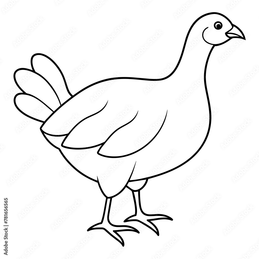 illustration of a hen illustration of a hen