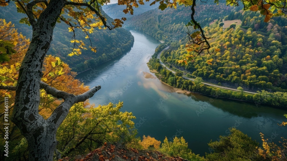 River valley scene with prominent tree River valley scene with prominent tree