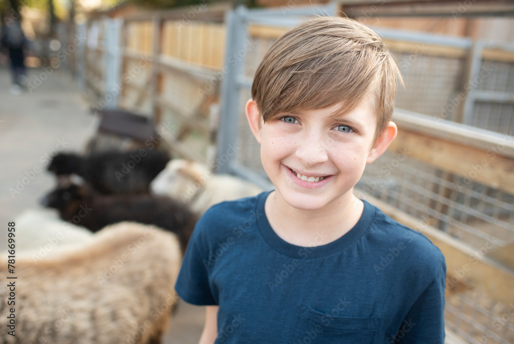 Fototapeta premium 10 year old boy in front of sheep on a farm or zoo