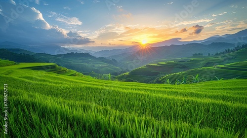 A serene sunset over a lush meadow